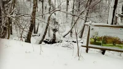 Природен парк "Сините камъни"