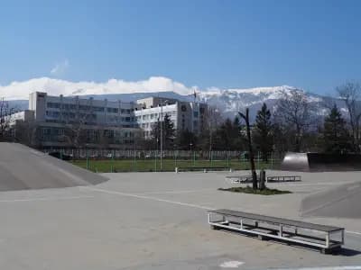 Скейт парк София
