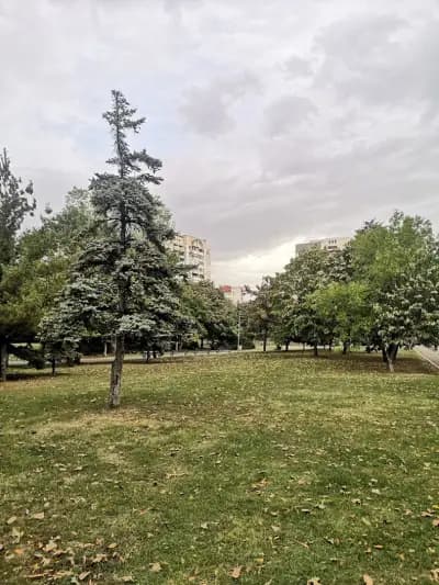 парк „Младост 3“