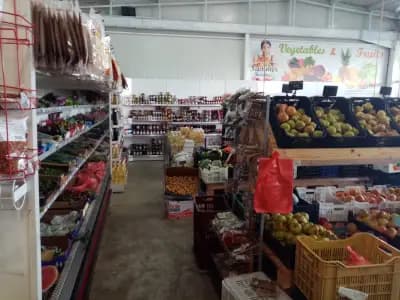 Съни Фреш