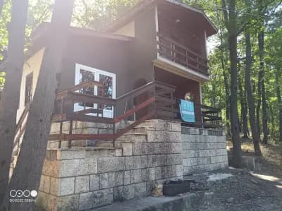 БТА - Бунгала, Шкорпиловци