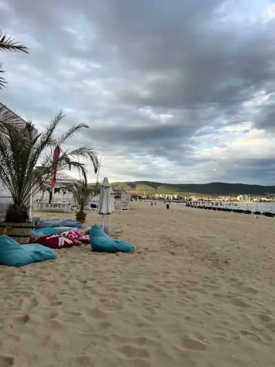 Beach Bar Liqueur