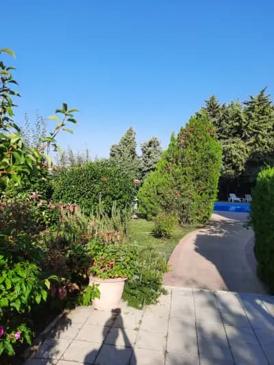 Консул