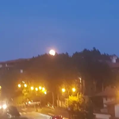 Консул