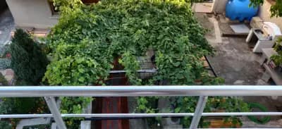 Guest House Karavida