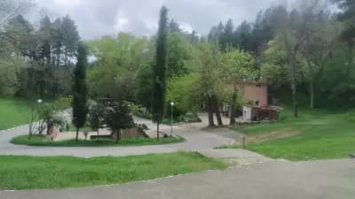 Ичимята