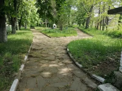 Паркови площи