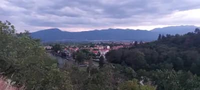 Мирото в Огняново