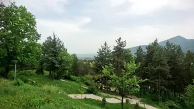 Панорама