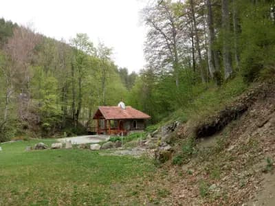 Параклис Св. Св. апостоли Петър и Павел