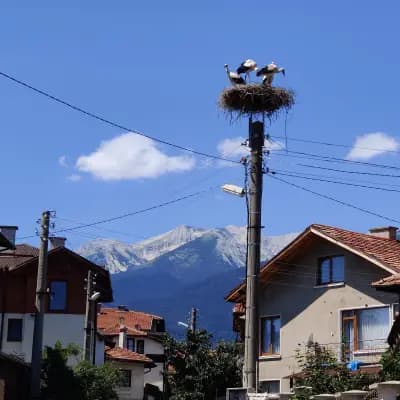 Банско