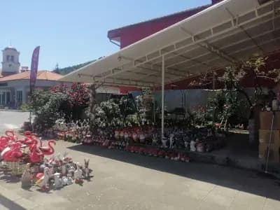 RMarket