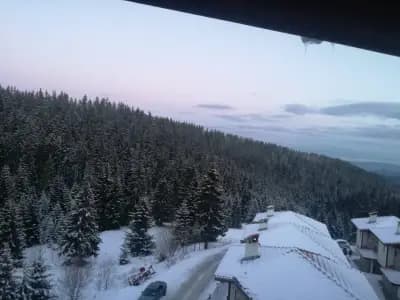 Lucky Hotel Apartments. Pamporovo