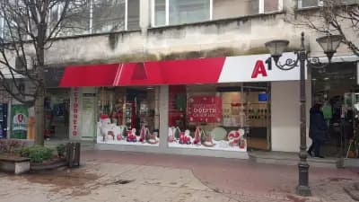 A1