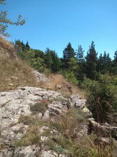 Храм Св. Пророк Илия
