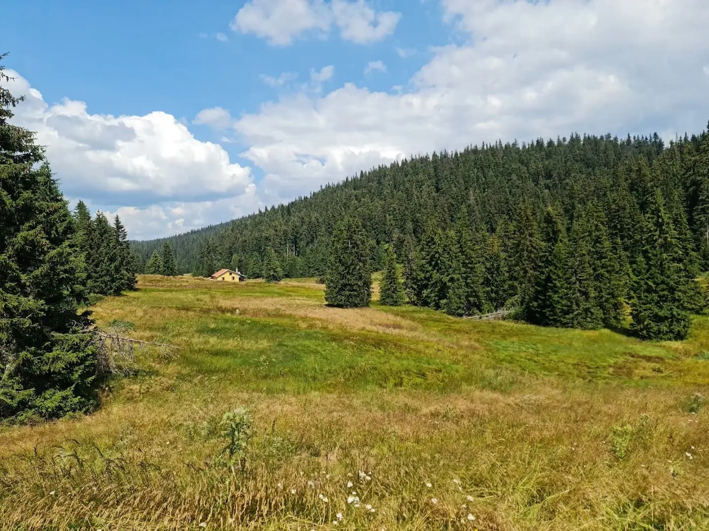 Хайдушки поляни