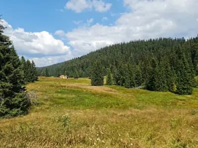 Хайдушки поляни
