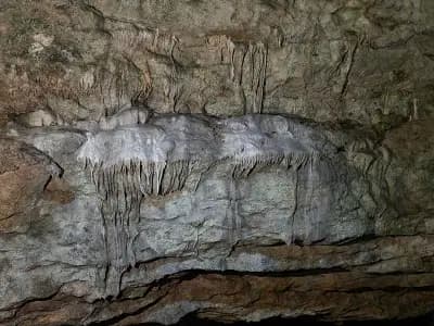 Пещера Стълбицата