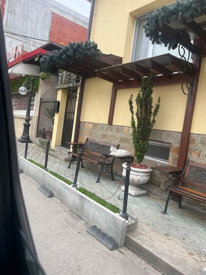 Обнова