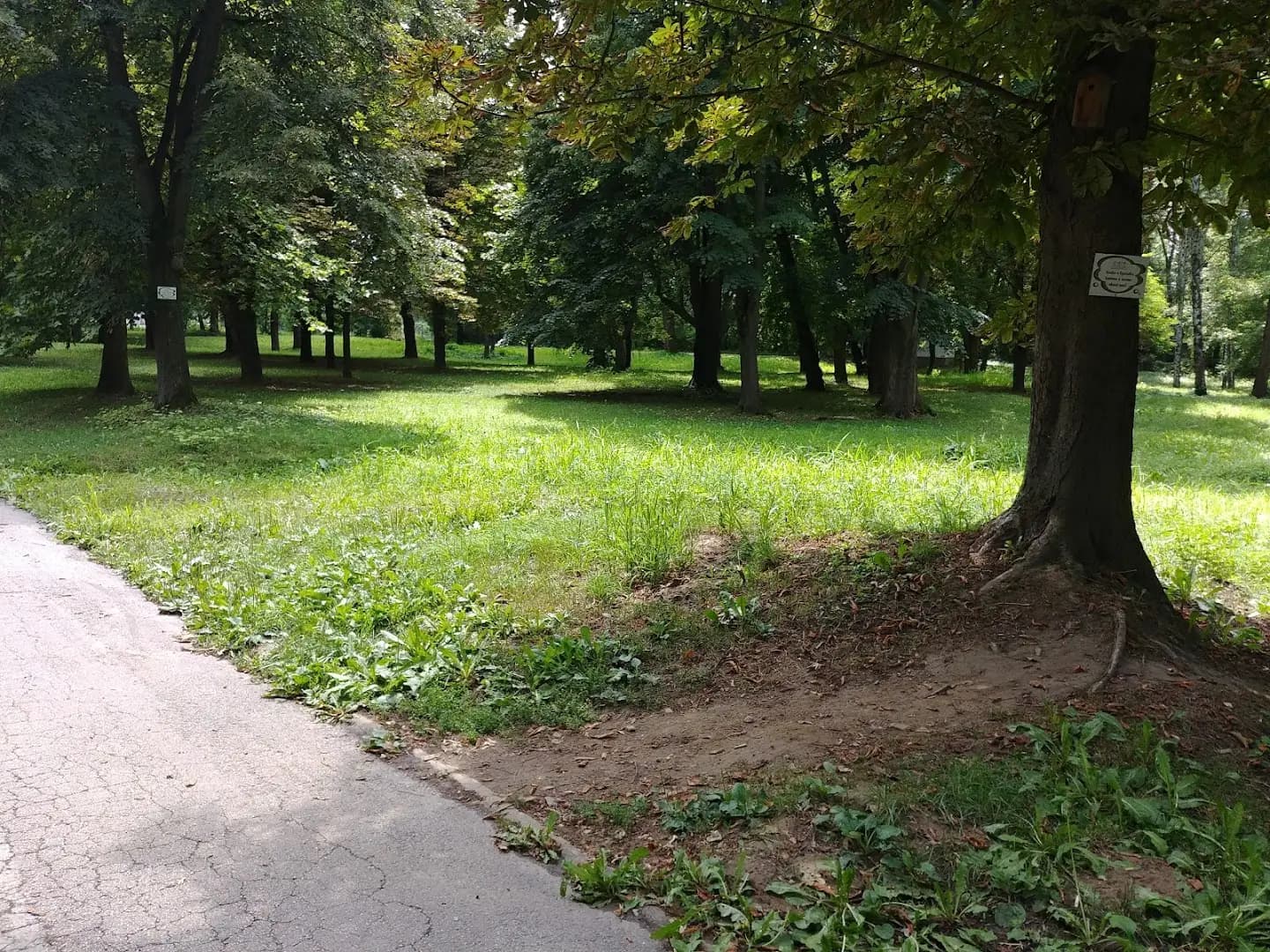 парк Черничките