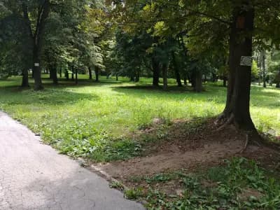 парк Черничките