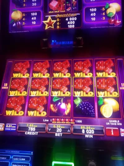Casino Finix
