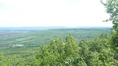 Лесопарка