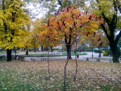 Парк "Христо Ботев"