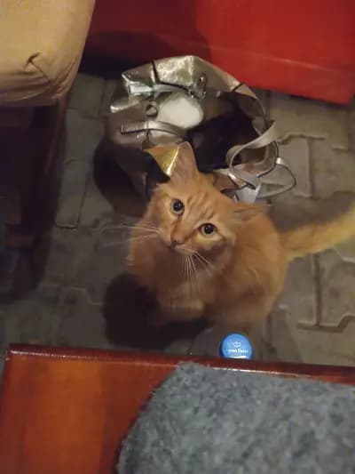 Банята