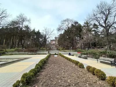 Боров парк