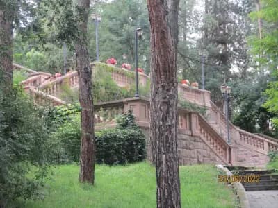Боров парк