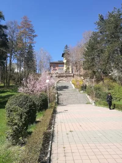 Боров парк
