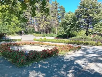 Боров парк