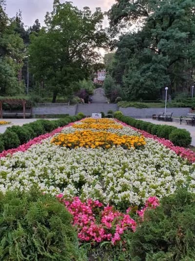 Боров парк