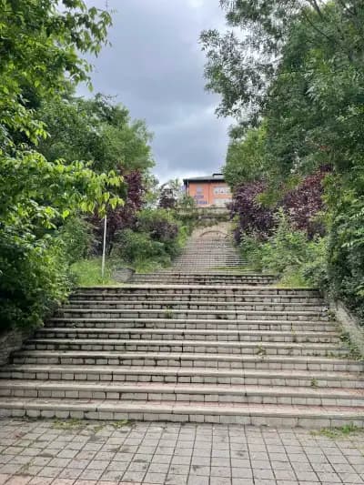 Боров парк