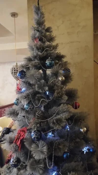 Кафе "Ензо"