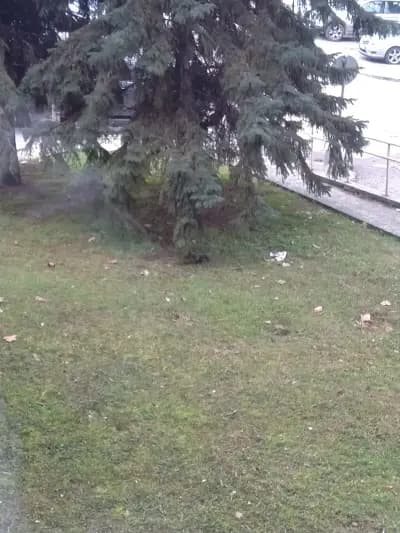 ЦПЛР - Ученическо общежитие Разград