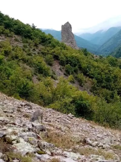 Водопад „Гюмбуртията“