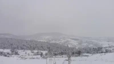 Природна забележителност „Лъвът“