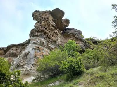 Чит кая