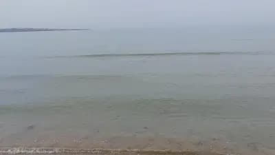 Къмпинг Златна рибка