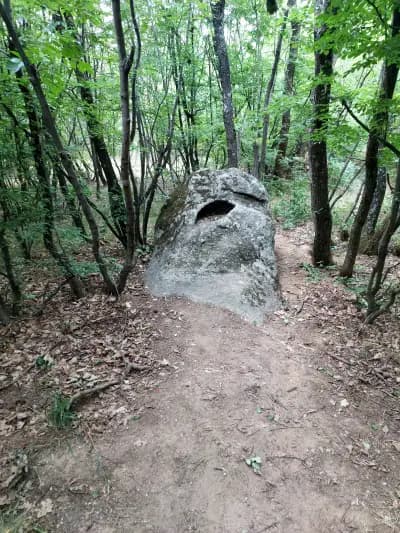 Мегалиг Бабакая