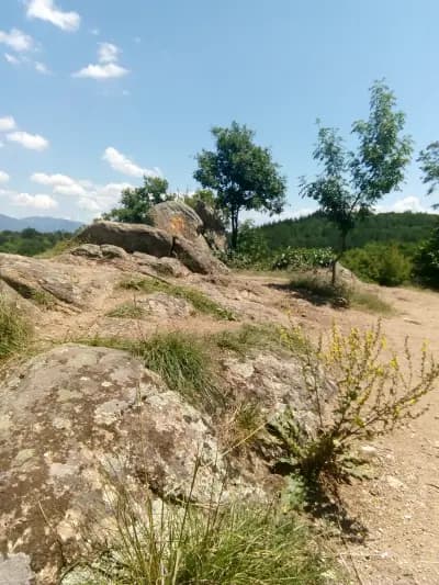 Мегалиг Бабакая
