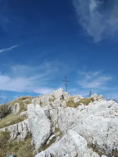 Орлово гнездо