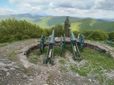 Орлово гнездо