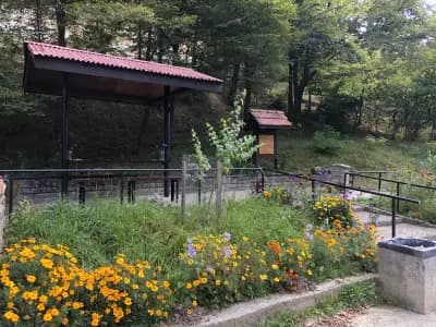 Минерален извор "Вонеща вода"