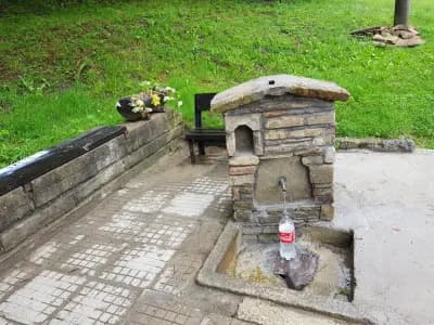 Минерален извор "Вонеща вода"