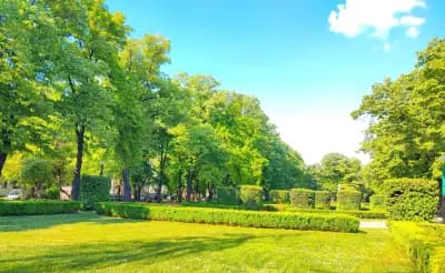 Крайдунавска градска градина, Видин