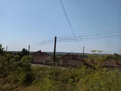 Къща за гости Липите