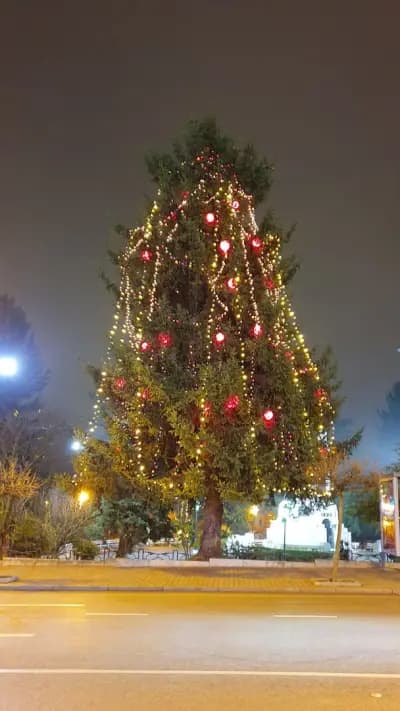 Паметник „Майка България“